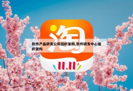 软件产品研发公司组织架构,软件研发中心组织架构