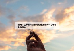 欧洲杯在哪里可以看比赛回放,欧洲杯在哪看全场回放