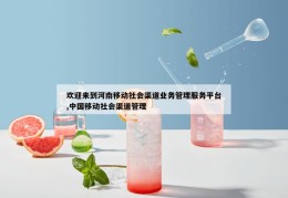 欢迎来到河南移动社会渠道业务管理服务平台,中国移动社会渠道管理