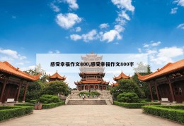 感受幸福作文800,感受幸福作文800字