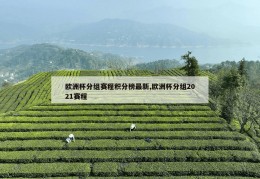 欧洲杯分组赛程积分榜最新,欧洲杯分组2021赛程