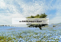 qcc发表感言,参加qcc心得体会