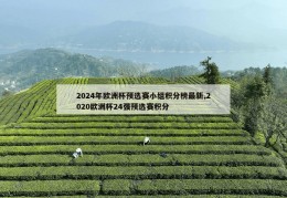 2024年欧洲杯预选赛小组积分榜最新,2020欧洲杯24强预选赛积分