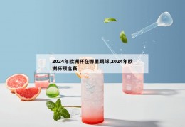 2024年欧洲杯在哪里踢球,2024年欧洲杯预选赛