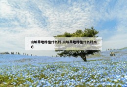 山坡旱地种植什么好,山坡旱地种植什么好南方