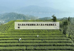 没人怎么才能进国企,没人怎么才能进国企上班