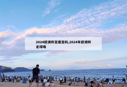 2024欧洲杯百度百科,2024年欧洲杯足球场