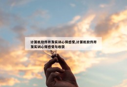 计算机软件开发实训心得感受,计算机软件开发实训心得感受与收获