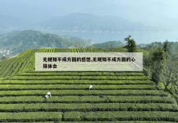 无规矩不成方圆的感想,无规矩不成方圆的心得体会