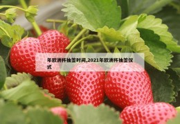 年欧洲杯抽签时间,2021年欧洲杯抽签仪式