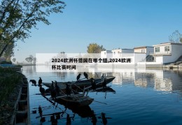 2024欧洲杯德国在哪个组,2024欧洲杯比赛时间