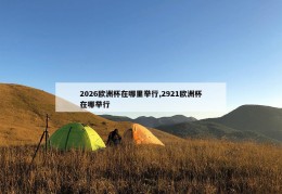 2026欧洲杯在哪里举行,2921欧洲杯在哪举行