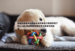 数据挖掘是如何帮助企业开展电子商务环境下的crm的,简述数据挖掘在电子商务中的应用