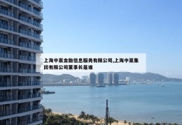 上海中赢金融信息服务有限公司,上海中赢集团有限公司董事长是谁