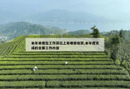 本年单度在工作岗位上有哪些收获,本年度完成的主要工作内容