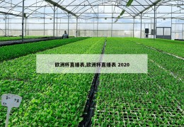 欧洲杯直播表,欧洲杯直播表 2020