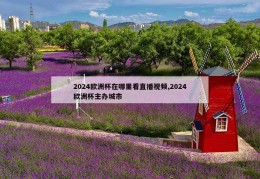 2024欧洲杯在哪里看直播视频,2024欧洲杯主办城市